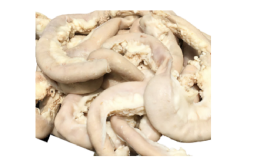 ox intestines